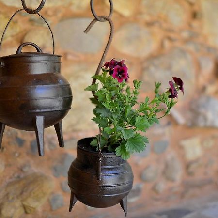 Montes da Senhora Refugio Do Raposo/Casa Altairヴィラ エクステリア 写真